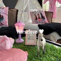 Tipiparty_horselove (2)